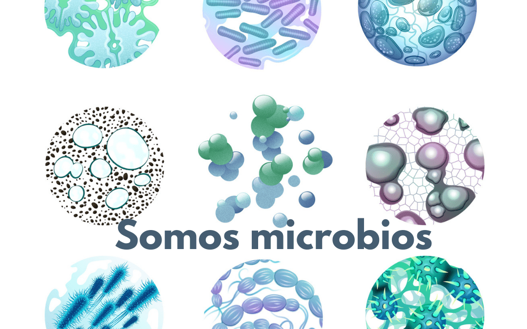 Somos microbios