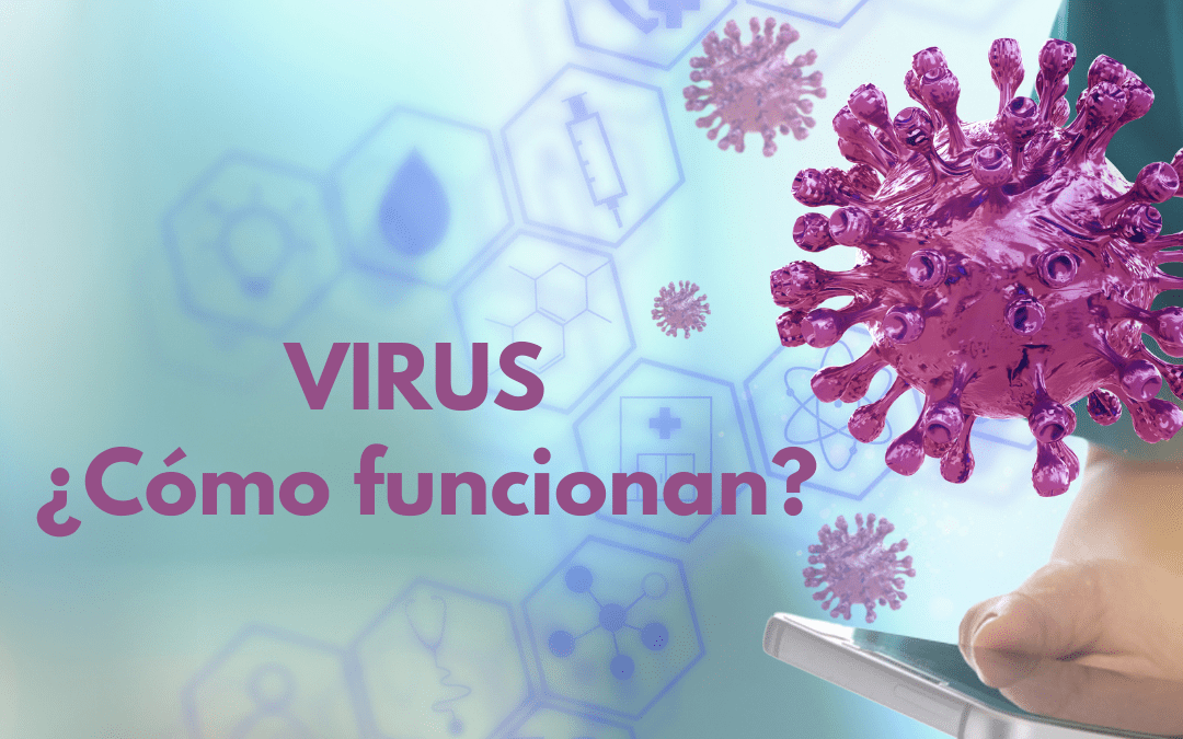 ¿Cómo funcionan los virus?
