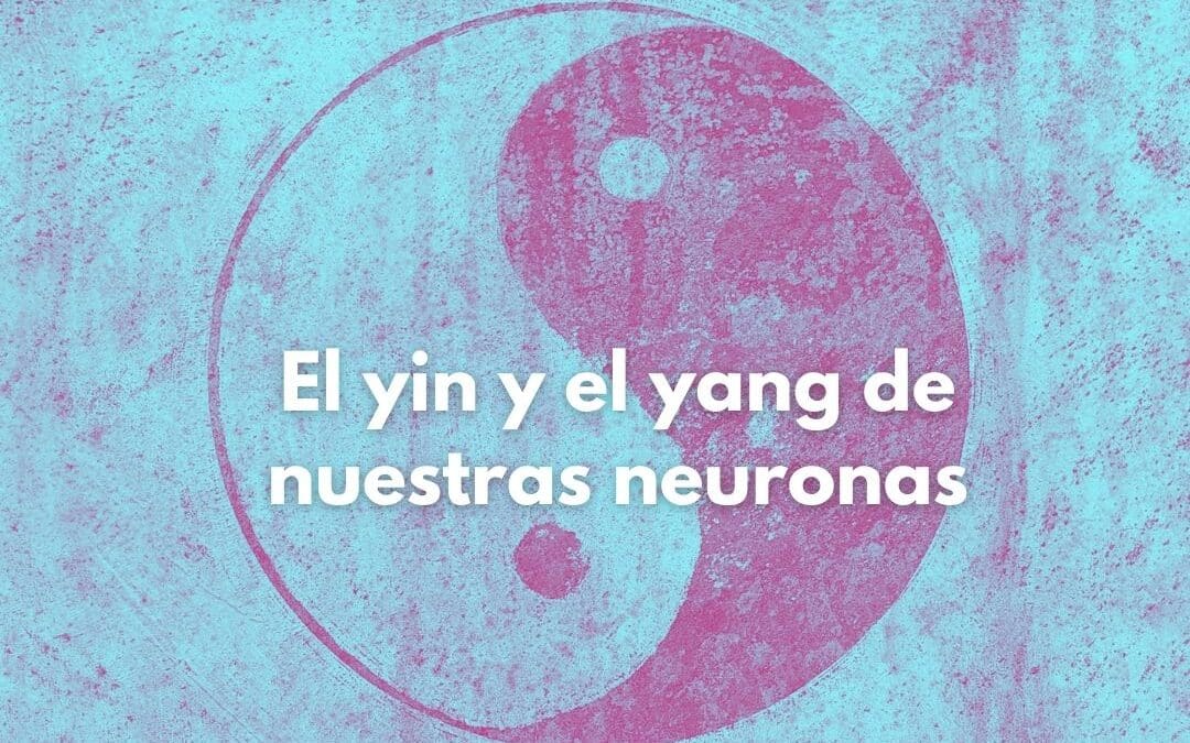 El yin y el yang de nuestras neuronas